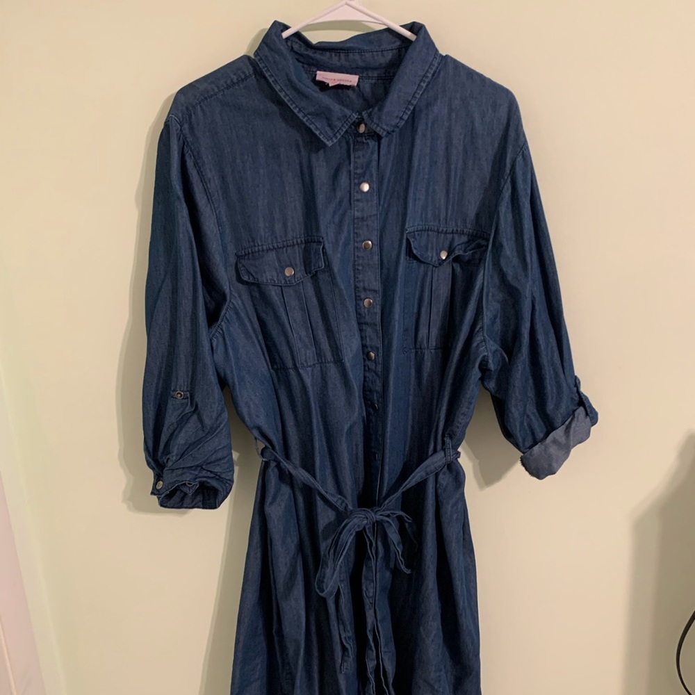 Molly Isadora Blue Jean Dress 22W
